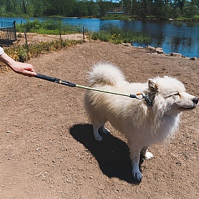 Ruffwear Knot-a-Long Short Rope Dog Lead