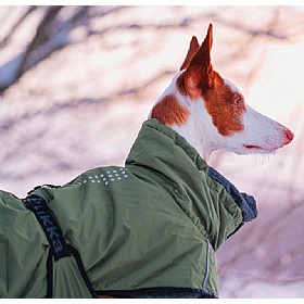 Rukka Warm-Up 2.0 Waterproof Dog Coat