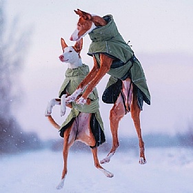 Rukka Warm-Up 2.0 Waterproof Dog Coat