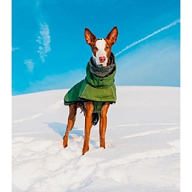 Rukka Warm-Up 2.0 Waterproof Dog Coat
