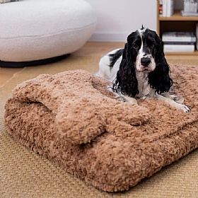 Quapas Cosy Dog Bed With Bone Pillow