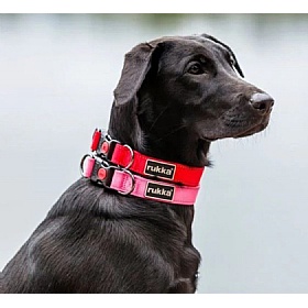 Rukka Bliss Dog Collars