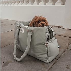 The Puffer Dog Carrier