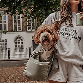 The Puffer Dog Carrier