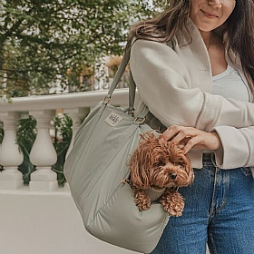 The Puffer Dog Carrier