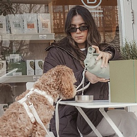 The Dog Bowl Bottle 3-in-1 Travel Bottle