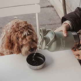 The Dog Bowl Bottle 3-in-1 Travel Bottle