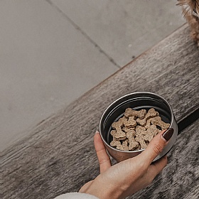 The Dog Bowl Bottle 3-in-1 Travel Bottle