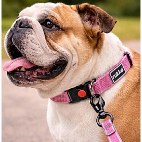 Rukka Star Lightweight Dog Collar