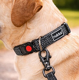 Rukka Star Lightweight Dog Collar