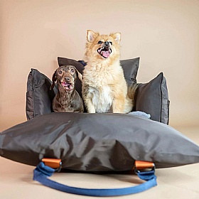 Travel Dog Pod 2.0 Dog Car Seat with Isofix