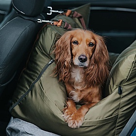 Travel Dog Pod 2.0 Dog Car Seat with Isofix