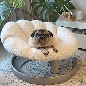 Tavo Shell Swaying Dog Bed Lounger