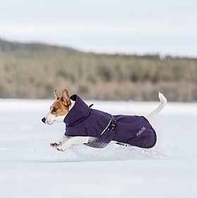 Rukka Trust Thermal Dog Coat