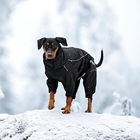 Rukka Warm-Up 2.0 Thermal Overall Dog Coat