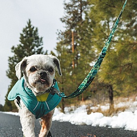 Ruffwear Front Range Patterned Dog Lead