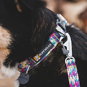 Ruffwear Front Range Patterned Dog Collar