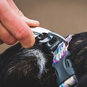 Ruffwear Front Range Patterned Dog Collar
