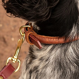 Storeys & Tails Luxury Rolled Leather Dog Collar