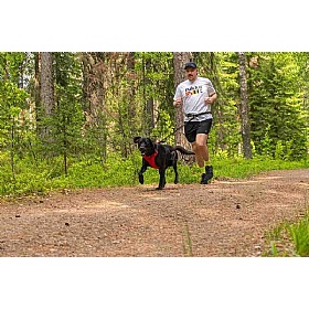 Rukka Hike Dog Harness