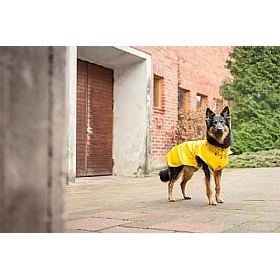 Rukka Stream Waterproof Dog Raincoat