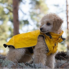 Rukka Stream Waterproof Dog Raincoat