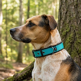 Rukka Form Soft Dog Collars