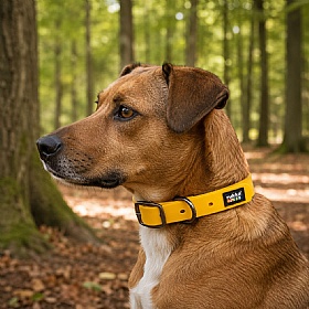 Rukka Biodipro Dog Collars