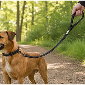 Rukka Solid Grip Dog Leads