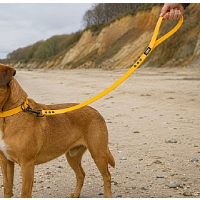 Rukka Biodipro Dog Leads