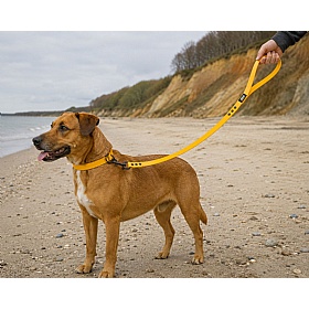 Rukka Biodipro Dog Leads