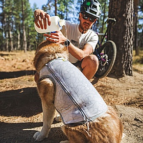 Ruffwear Swamp Cooler Zip Cooling Dog Vest