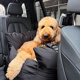 Travel Dog Pod 2.0 Dog Car Seat with Isofix