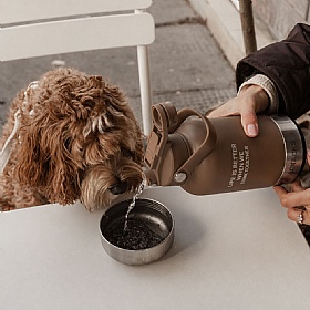 The Dog Bowl Bottle 3-in-1 Travel Bottle