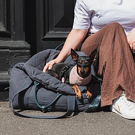 Fuzzyard Dog Carrier and Car Seat