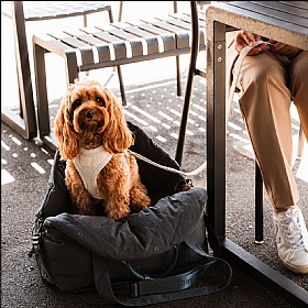 Fuzzyard Dog Carrier and Car Seat