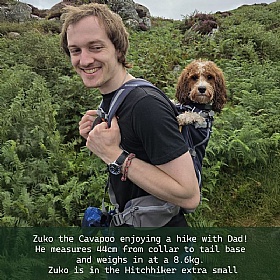 Ruffwear Hitch Hiker Dog Backpack Carrier