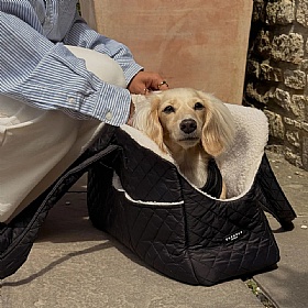 Black Diamond Quilted Small Breed Dog Carrier