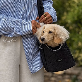 Black Diamond Quilted Small Breed Dog Carrier