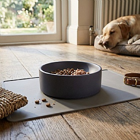 Quapas Light Grey Ceramic Dog Bowl