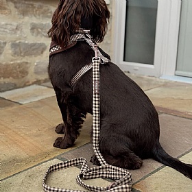 Cocopup London Cotswold Check Dog Lead