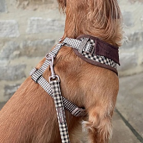 Cocopup London Cotswold Check Dog Lead