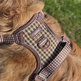 Cocopup London Cotswold Check Explore Dog Harness