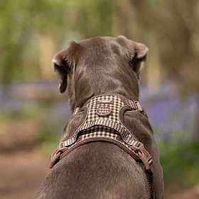 Cocopup London Cotswold Check Explore Dog Harness