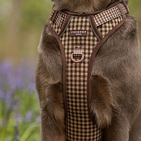 Cocopup London Cotswold Check Explore Dog Harness