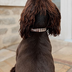 Cocopup London Cotswold Check Dog Collar