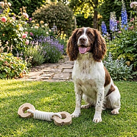 Quapas Coffee Wood Double Circle Tug Rope and Chew Dog Toys