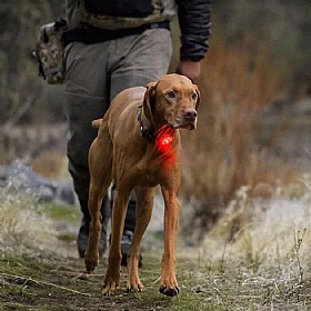 Ruffwear The Beacon Dog Walking Safety Light