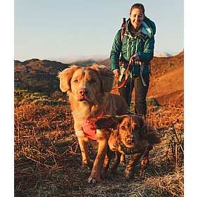 Ruffwear Front Range Dog Harness