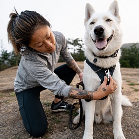 Ruffwear Front Range Dog Harness